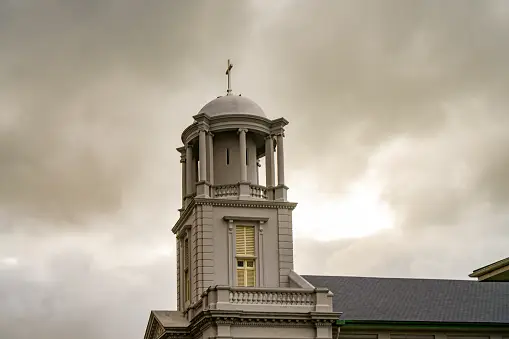 Weed in Greymouth