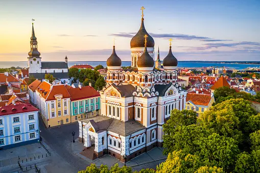 Weed in Tallinn